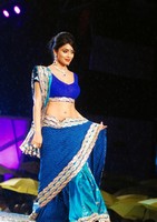 Shriya Saree Images